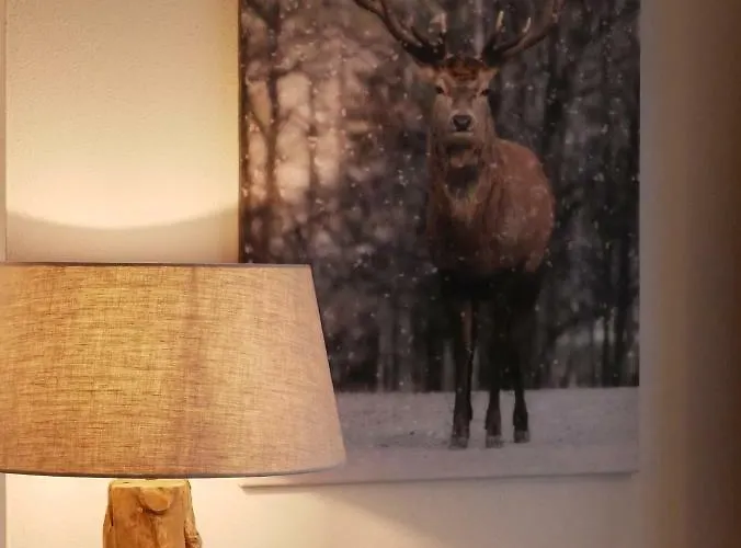 Maiskogel アパート