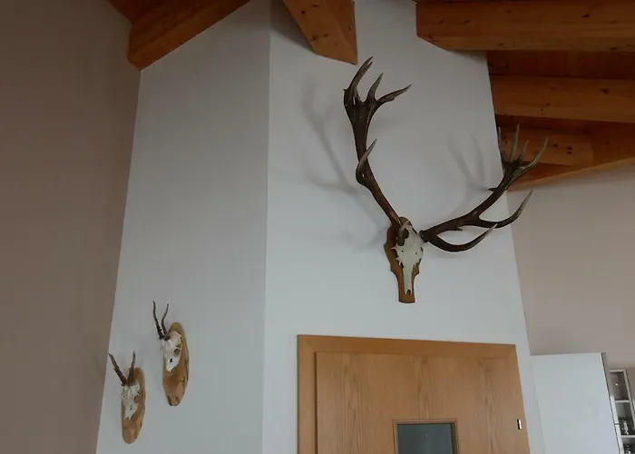 아파트 Maiskogel *